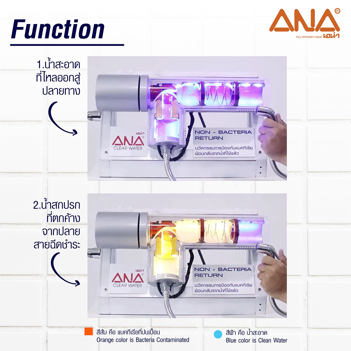 แองเกิ้ลวาล์ว ANTI-BACTERIA 1/2" ANA รูปที่ 4