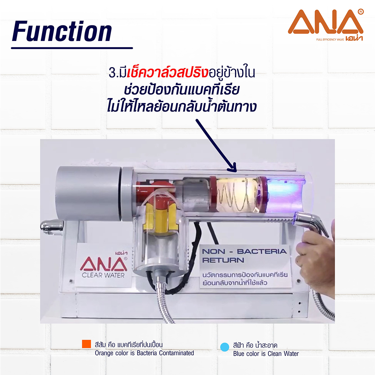 แองเกิ้ลวาล์ว ANTI-BACTERIA 1/2" ANA รูปที่ 5