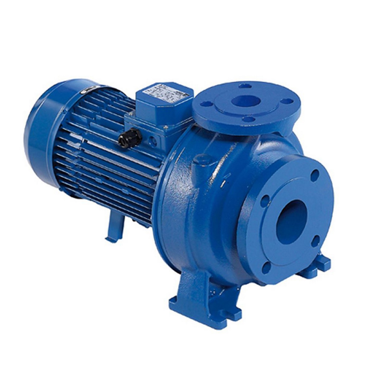 ปั๊มเหล็กหล่อ - 3 สาย EBARA รุ่น 3D 65-200/18.5 รูปที่ 2
