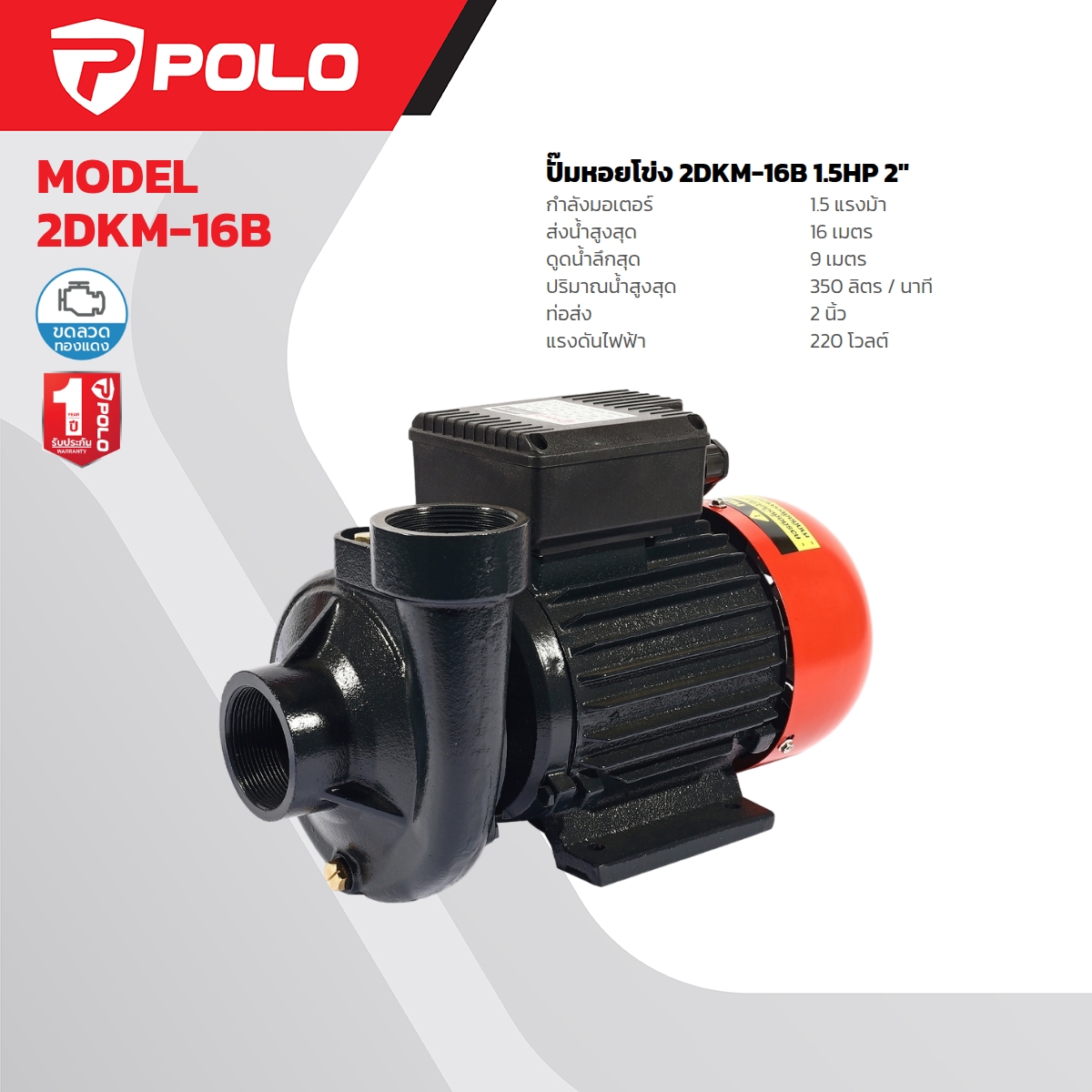 ปั๊มหอยโข่ง 1.5 HP 2” POLO รุ่น 2DKM-16B ราคา ฿4,020