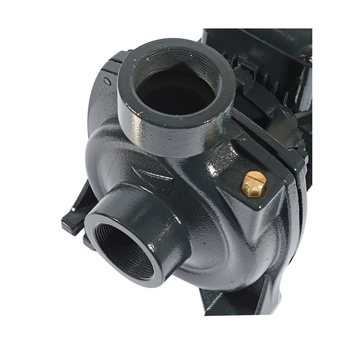ปั๊มหอยโข่ง 2HP 2" POLO รุ่น LHF1-5AMB รูปที่ 5