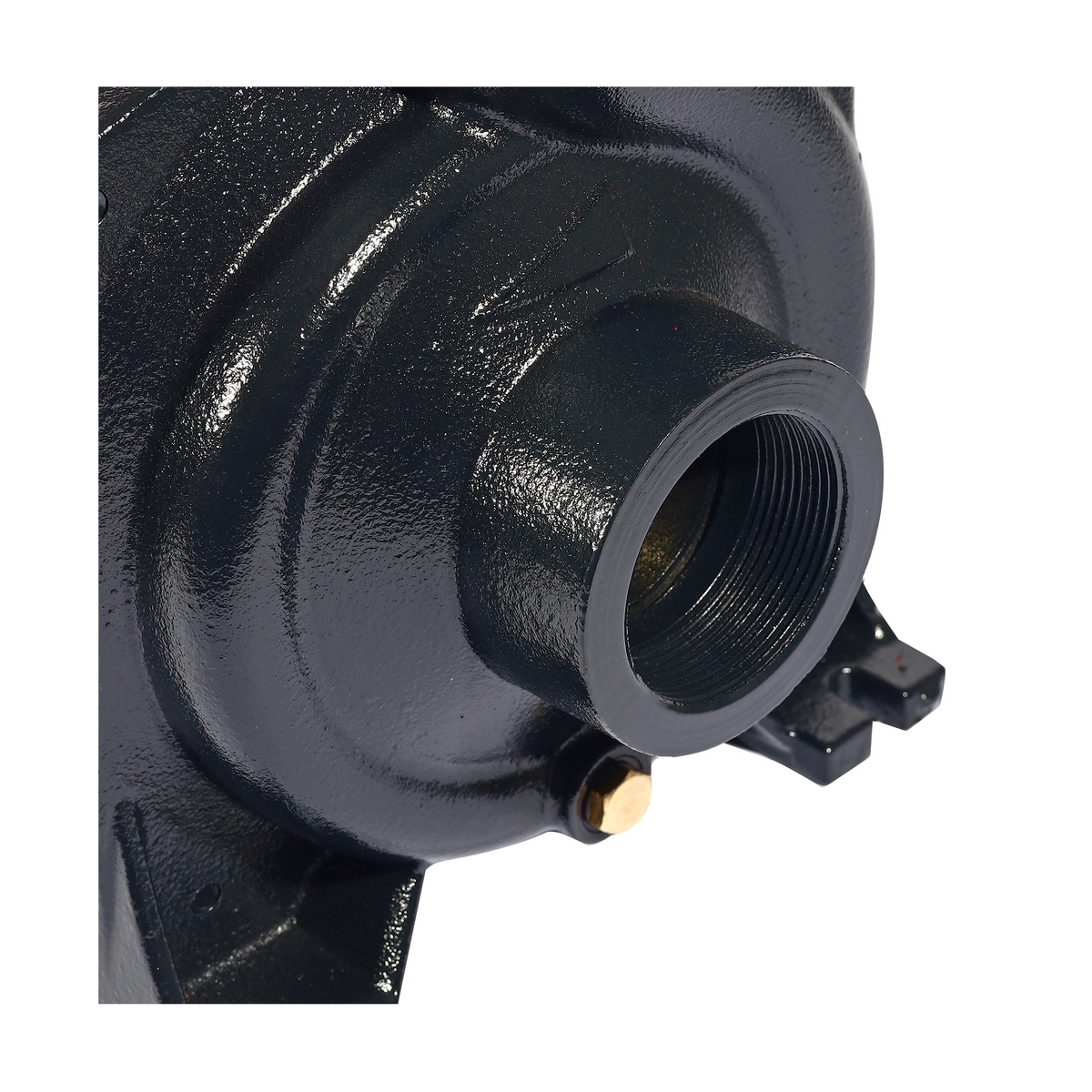 ปั๊มหอยโข่ง 1.5HP 2" POLO รุ่น LHF1-5BMB รูปที่ 5