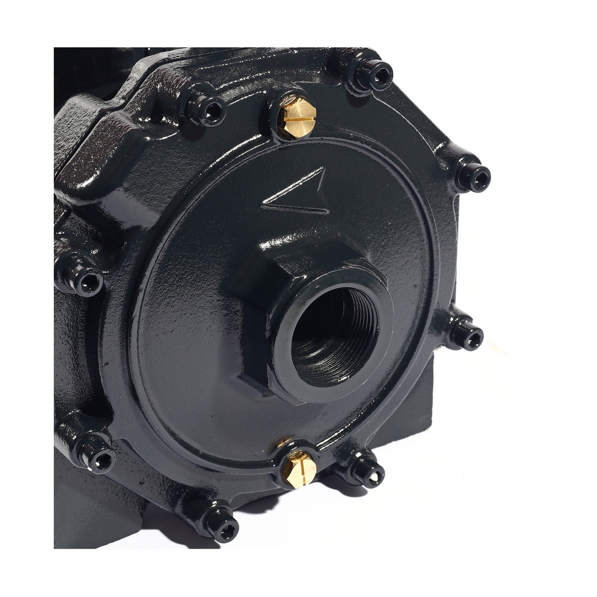 ปั๊มน้ำ 2ใบพัด 1.5HP1-1/4" X 1" POLO รุ่น SCM2-52B รูปที่ 5