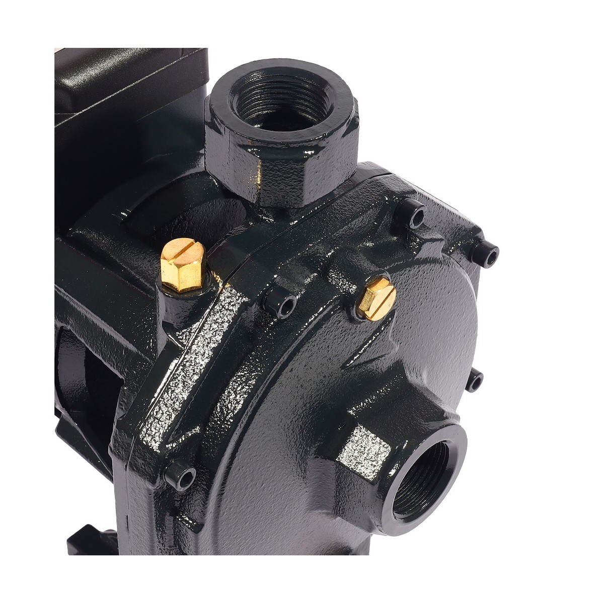 ปั๊มน้ำ 2ใบพัด 1 HP 1" X 1" POLO รุ่น SCM2-45B รูปที่ 5