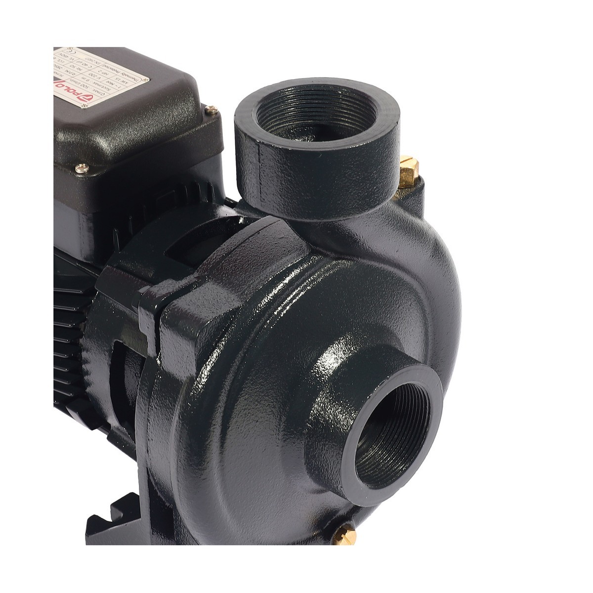 ปั๊มน้ำหอยโข่ง 2 HP 2" X 2" POLO รุ่น SCM-200B รูปที่ 5