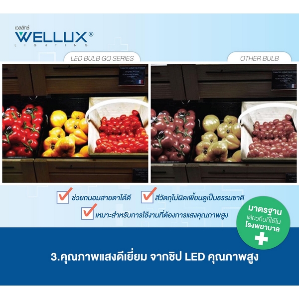หลอด LED BULB E27-12W-DL-6500K GQ SERIES WELLUX รูปที่ 4