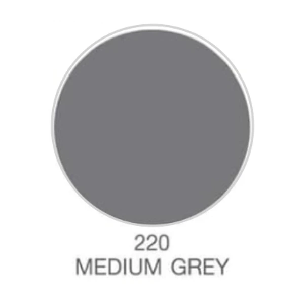 สีสเปรย์ WIN #220 MEDIUM GREY ราคา ฿48