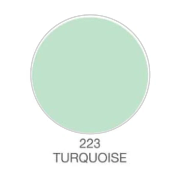 สีสเปรย์ WIN #223 TURQUOISE ราคา ฿48